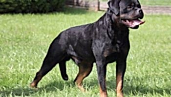 sinavlara-hazirlik sinavlara-hazirlik